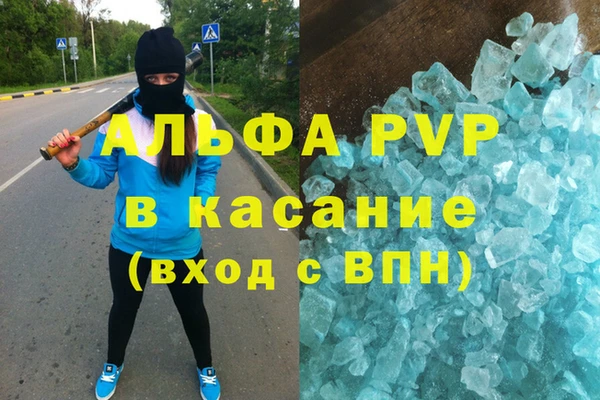 ГАЛЛЮЦИНОГЕННЫЕ ГРИБЫ Аркадак